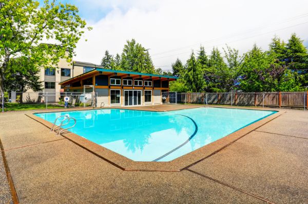 concrete pool deck